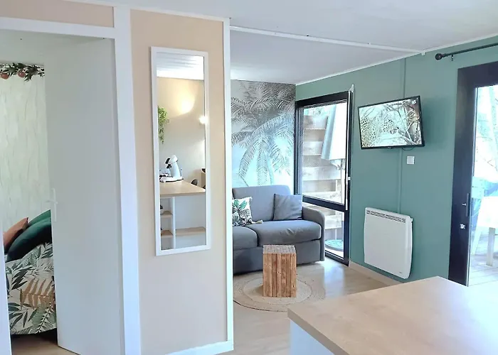 Le Vue Lac-2 Velos-village Nature De 70ha! Avec Piscines Et Animations * Léon